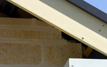 soffit repair Lowton Common